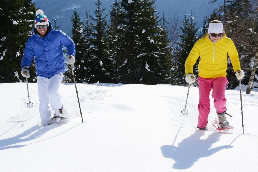 Alpen Chalet Eben