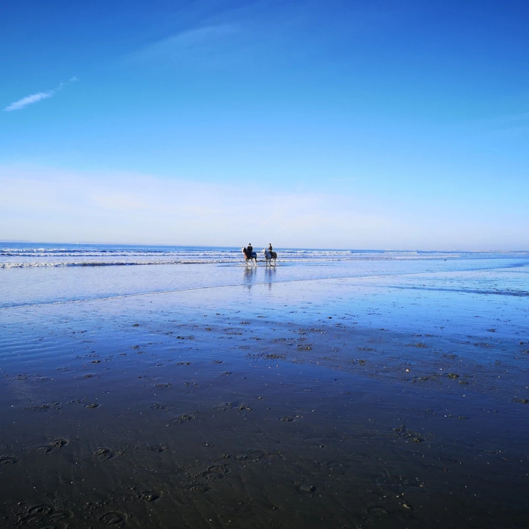 No 9 - Bracklesham Bay Apartment