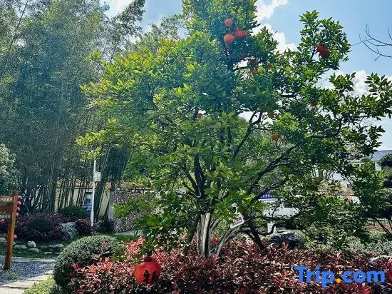 Jingdezhen Baolaixi Resort Hotel (Sanbao International Ceramic Art Village Store)