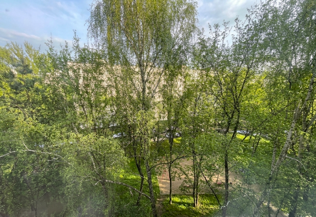Милана на улице Подольских Курсантов