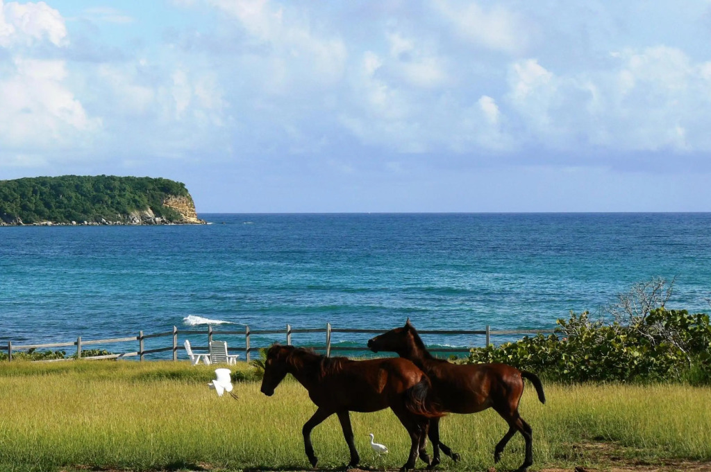 Blue Horizon Boutique Resort