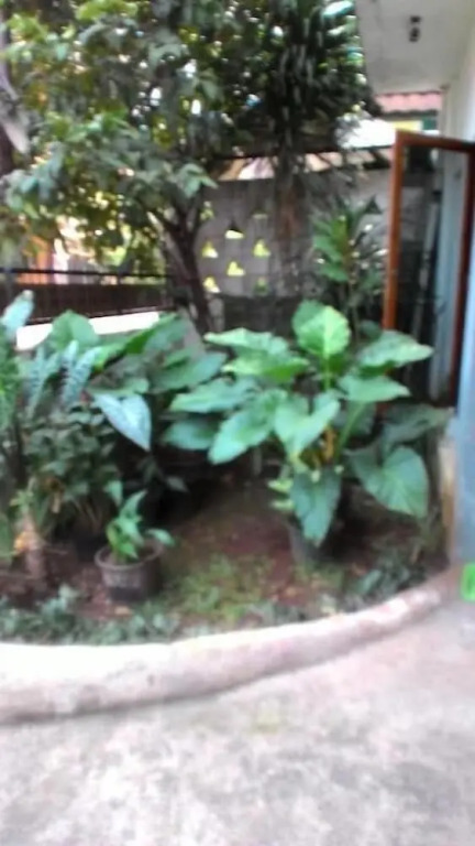 Rumah Kost