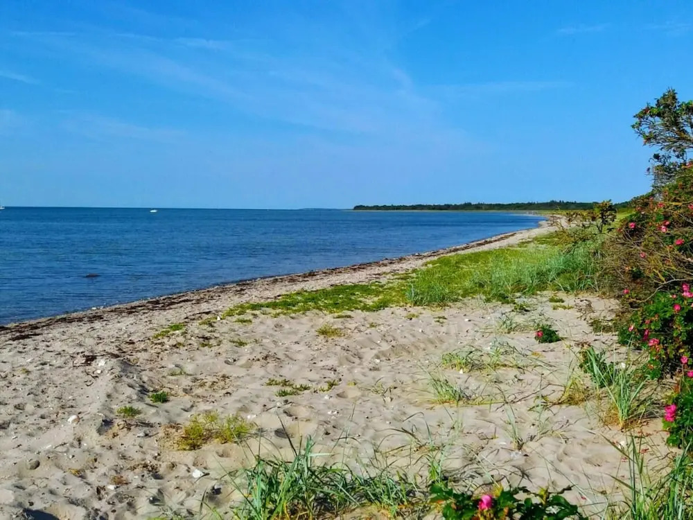 Pet Friendly Home In Bogense With Sauna