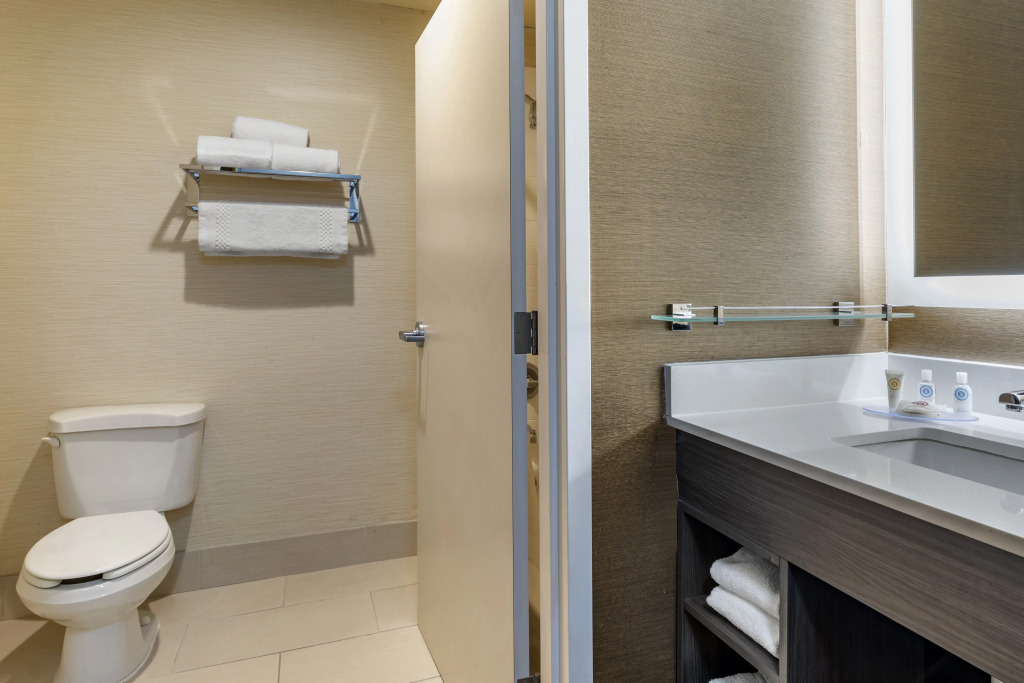 Comfort Inn & Suites North Dallas-Addison