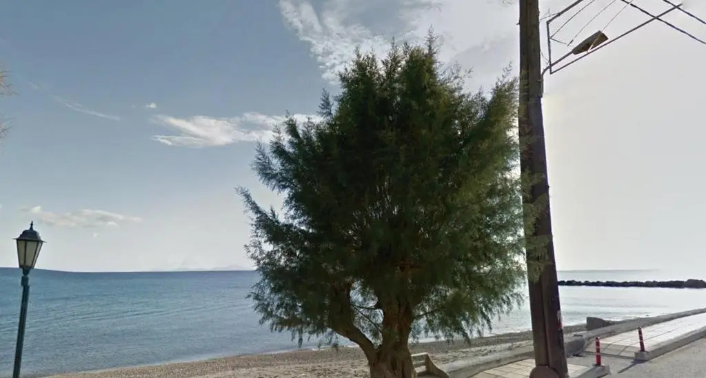 FANIA 2 ROOMS in FRONT OF THE SEA