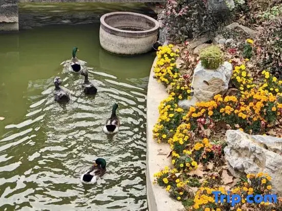 Quzhou Prefecture Ancient County Government Guesthouse