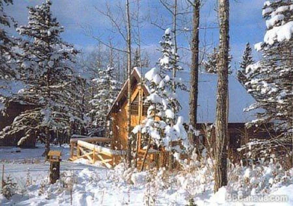 The Gingerbread Cabin