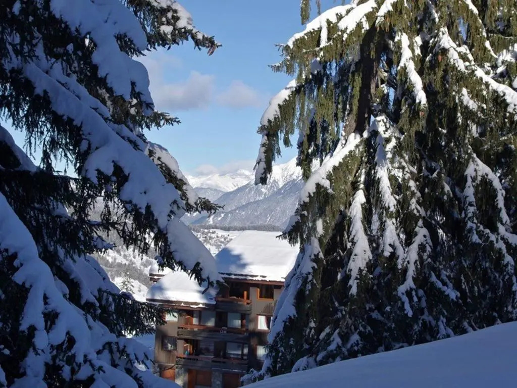 Appartement Valmorel, 2 pièces, 5 personnes - FR-1-291-713