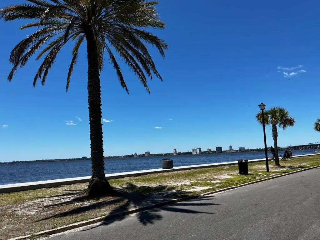 Modern 2 BR Condo - 2 block from San Marco