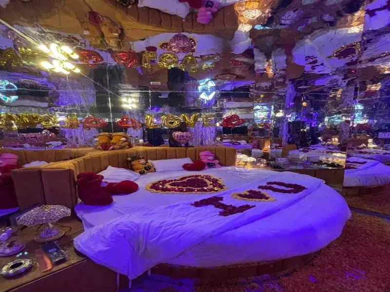 Hotel the stay lions
