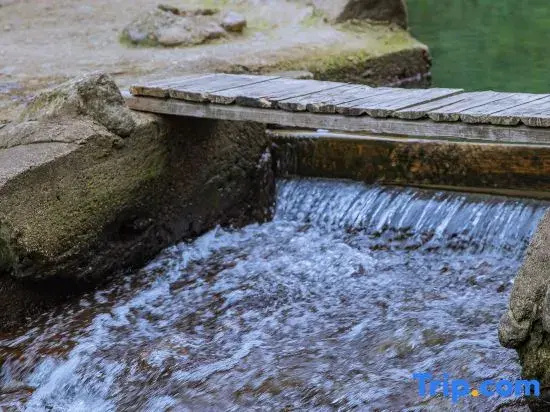 China/Zhejiang/Anji/Baofu Town Hongjia Village Wukou Natural Village