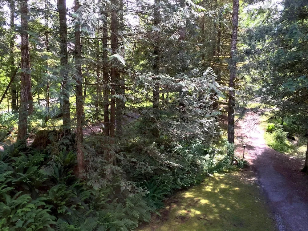 31SW - Fireplace - WiFi - Washer/Dryer - Sleeps 4