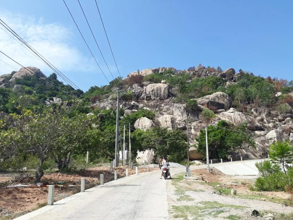 Dao Hoa Vang Villa