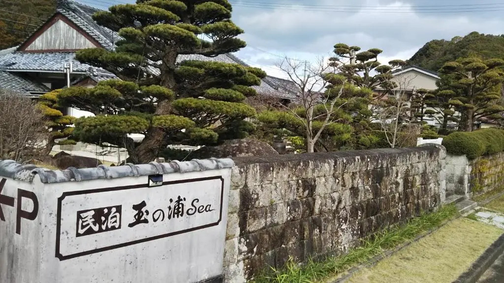 玉の浦sea