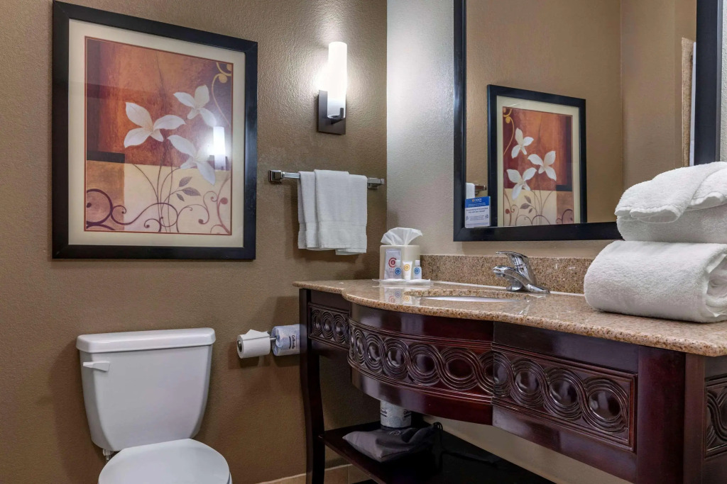 Comfort Suites Granbury