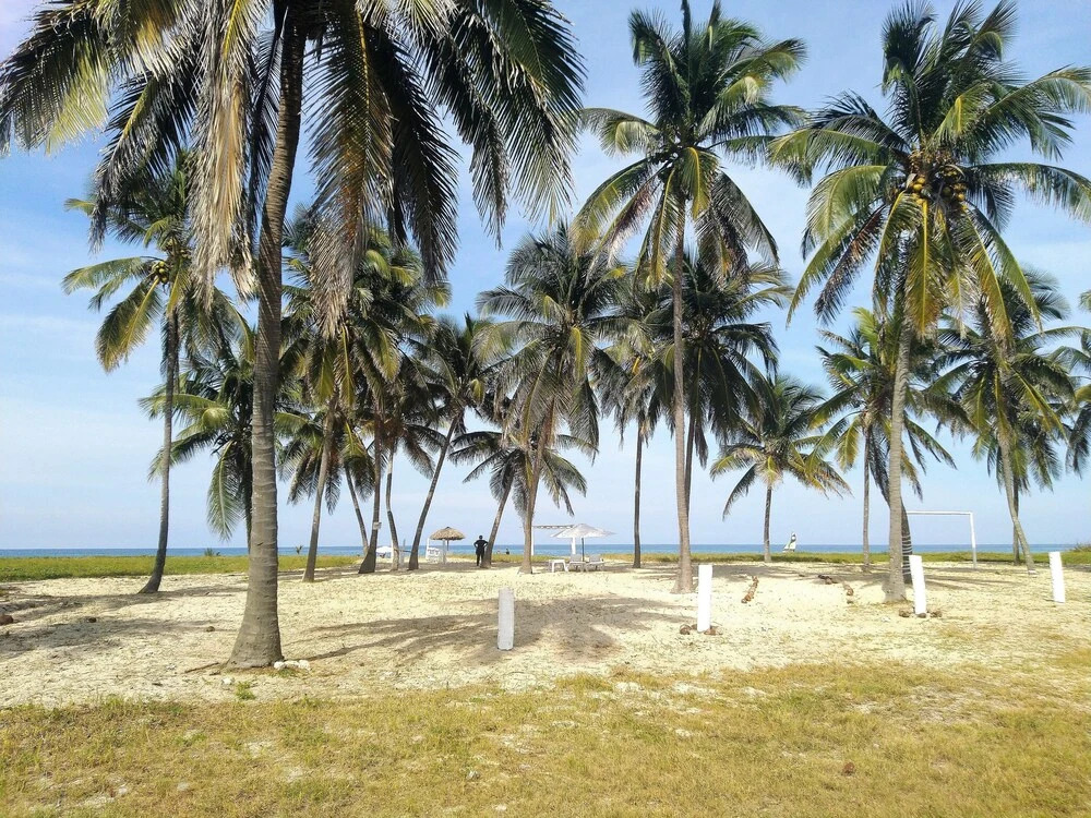 V Royal Luxury Villas