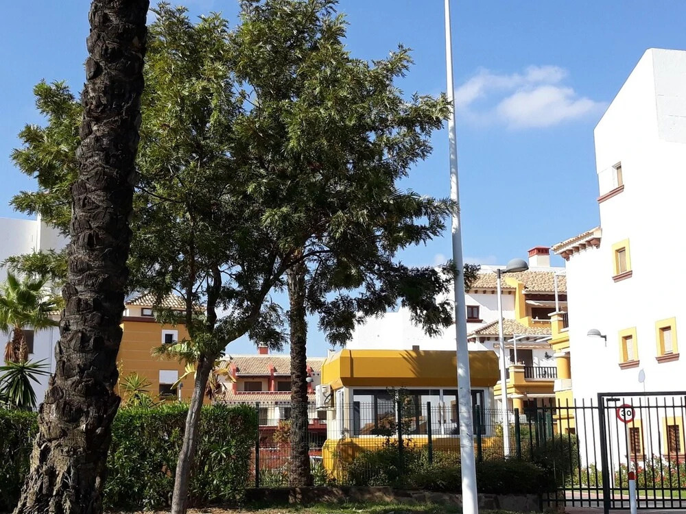 Apartment With 3 Bedrooms in Ayamonte, With Wonderful City View, Pool