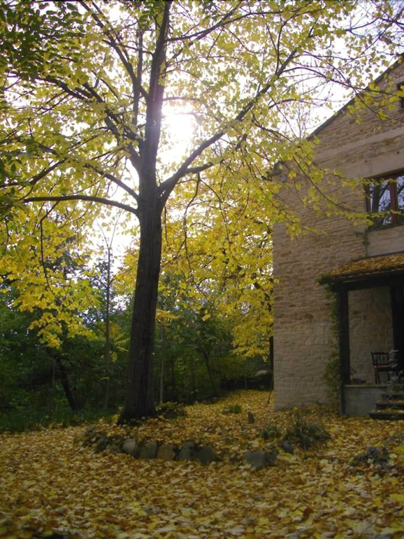 La Casita