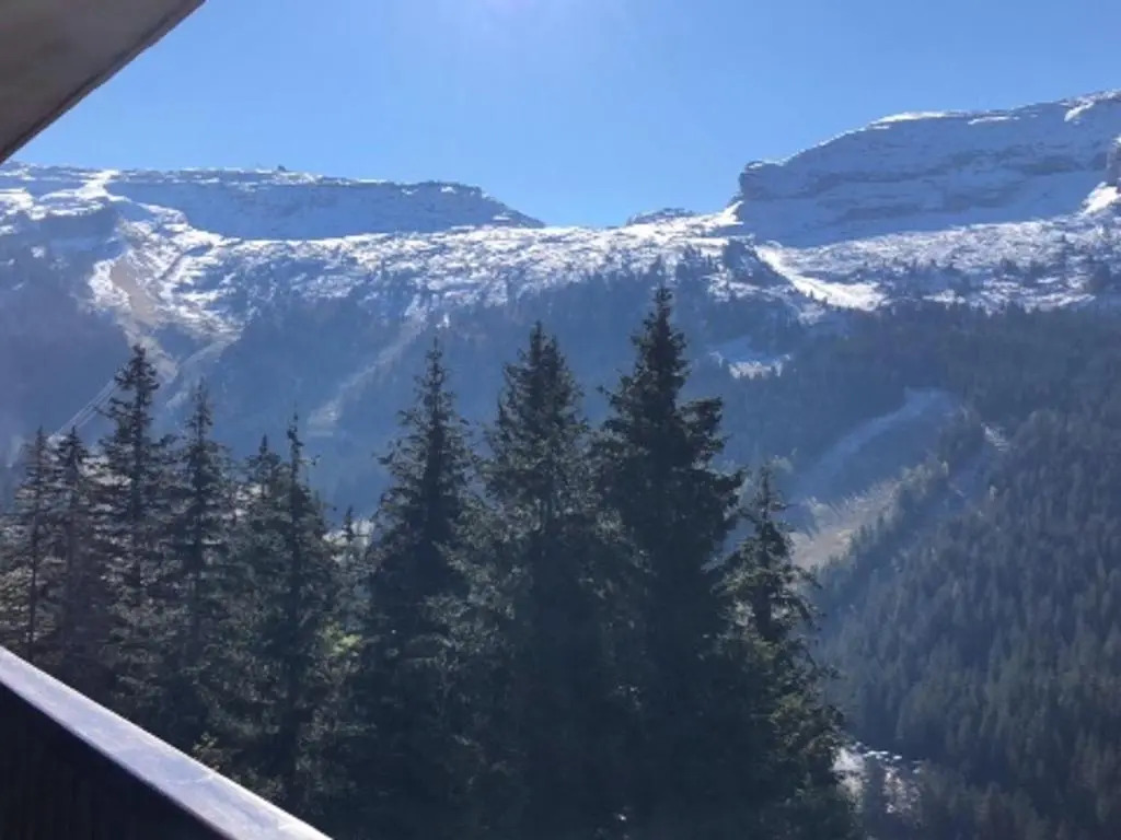 Appartement Flaine, 2 pièces, 6 personnes - FR-1-425-155