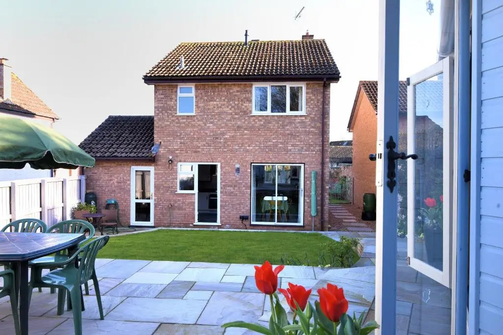 Woody View