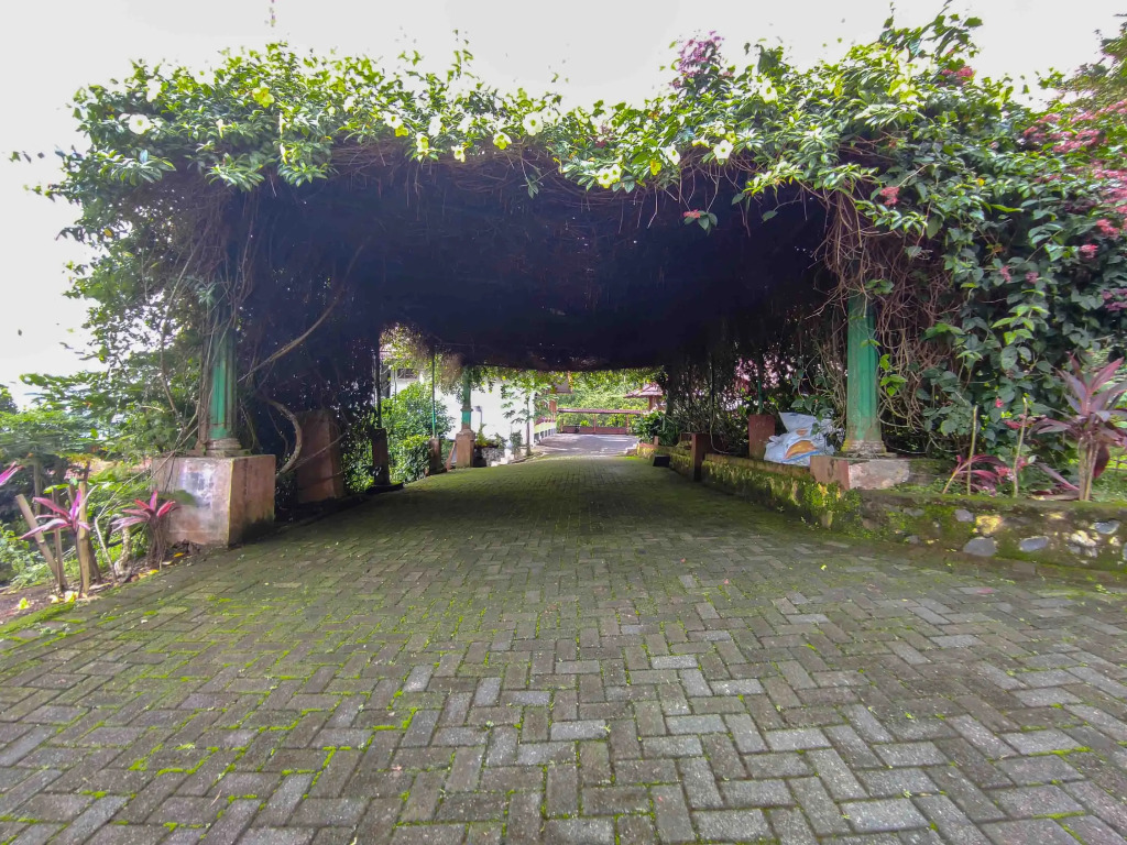 Hotel Makatembo