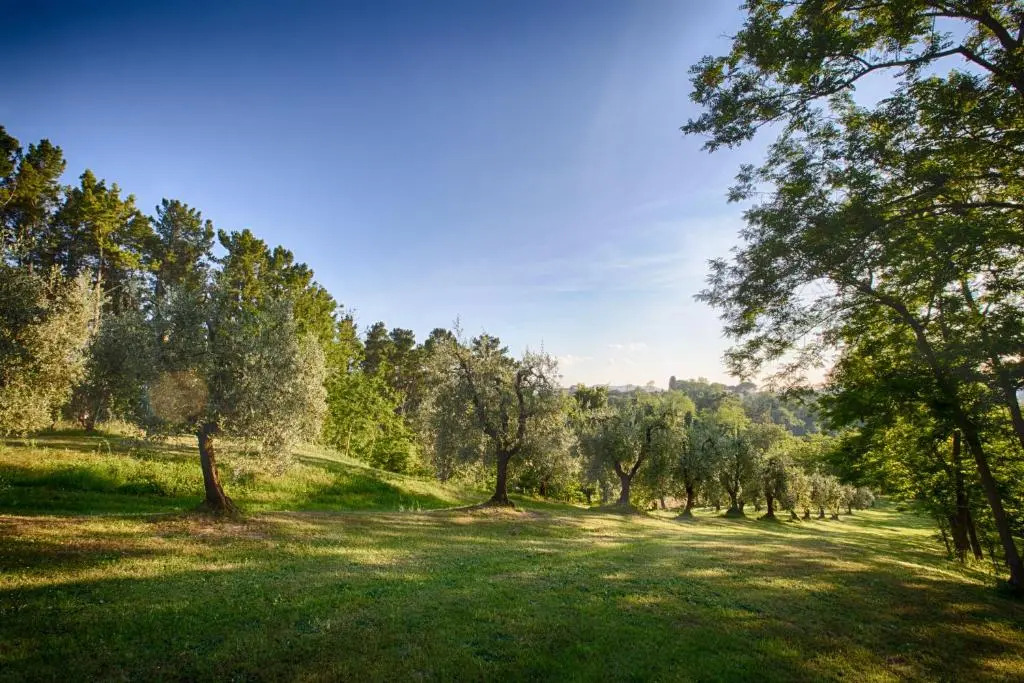 Podere SantAntonio