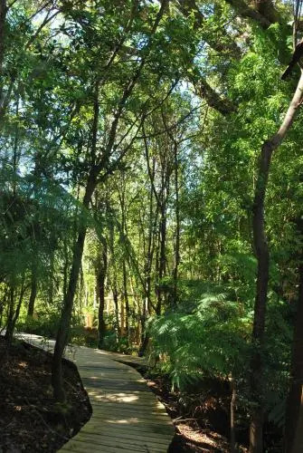 Chucao Bosque y Cabañas