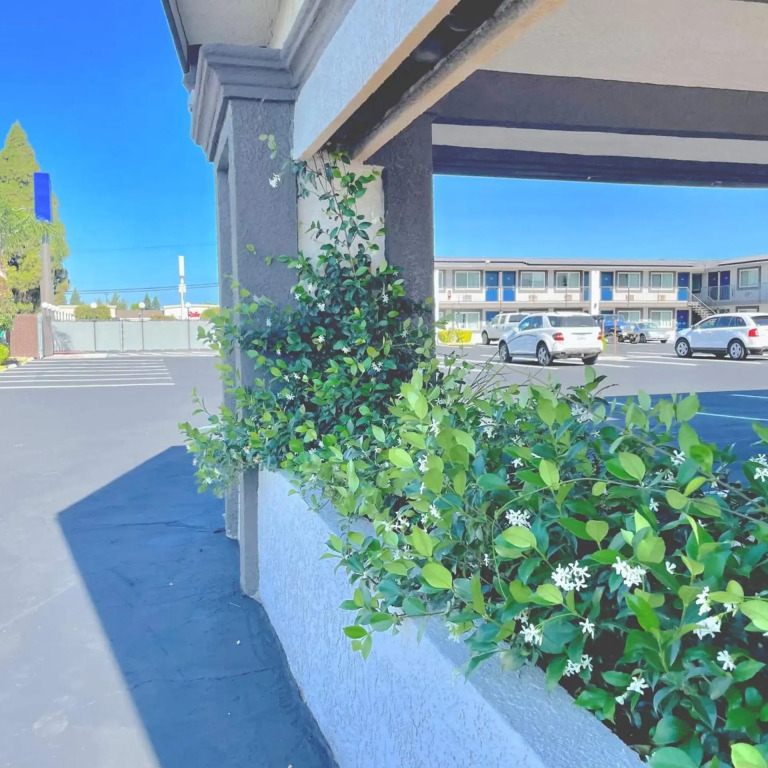 Motel 6 Yuba City, CA