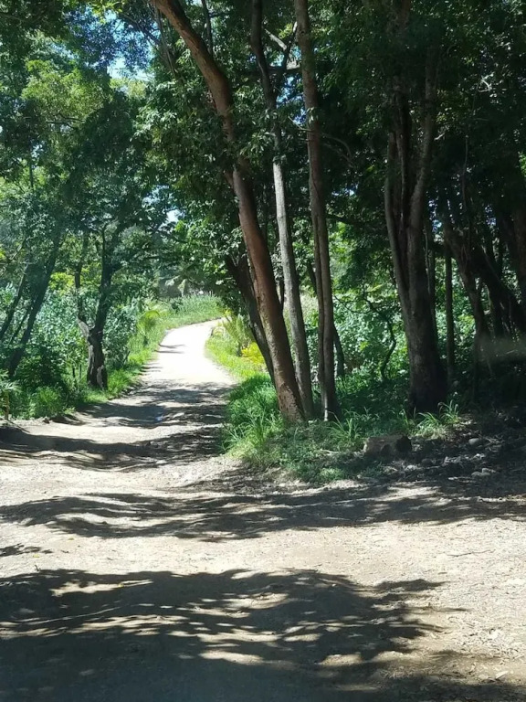 Bellamar