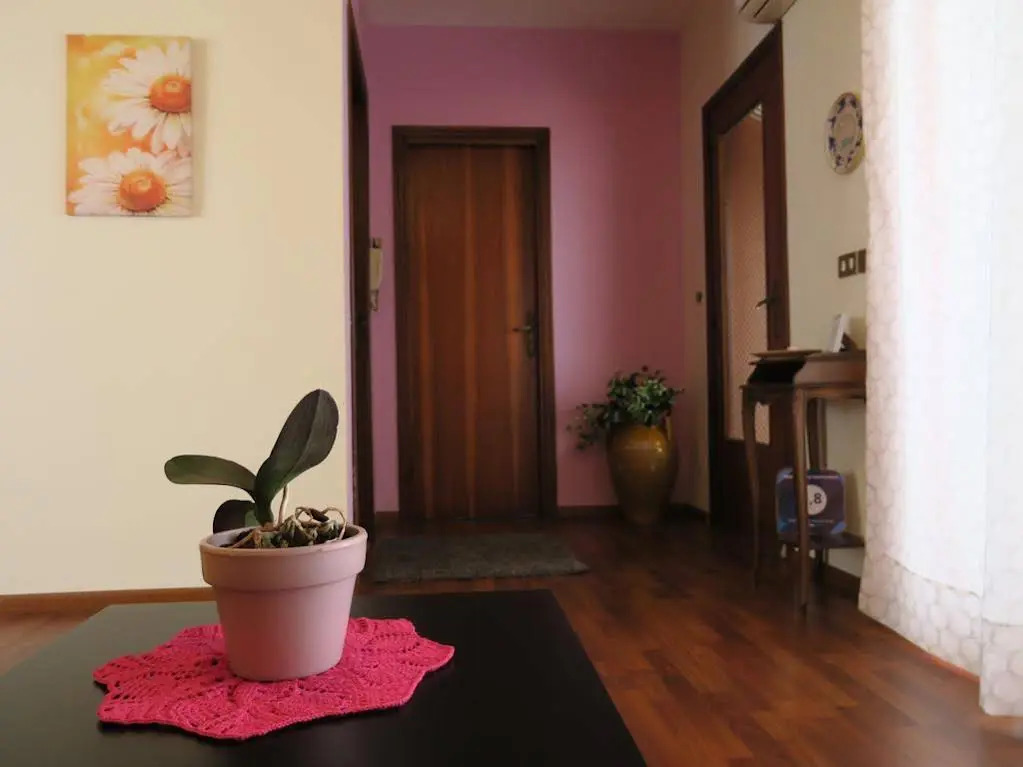 Naxos Enjoy Apartment