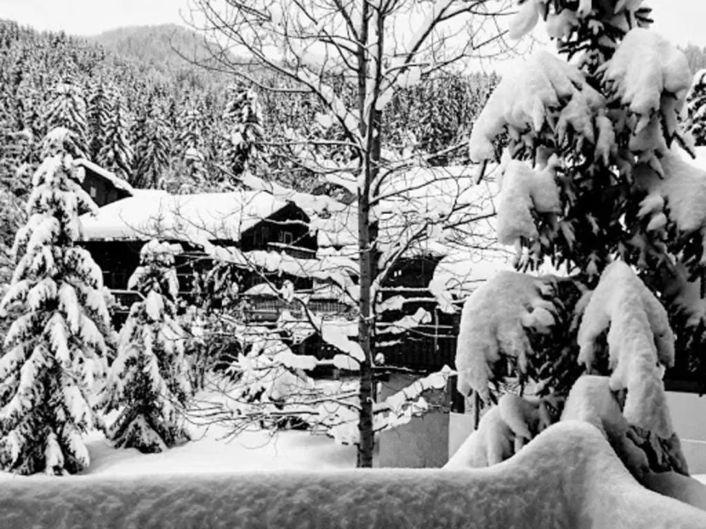 Chalet La Tania, 4 pièces, 13 personnes - FR-1-513-45