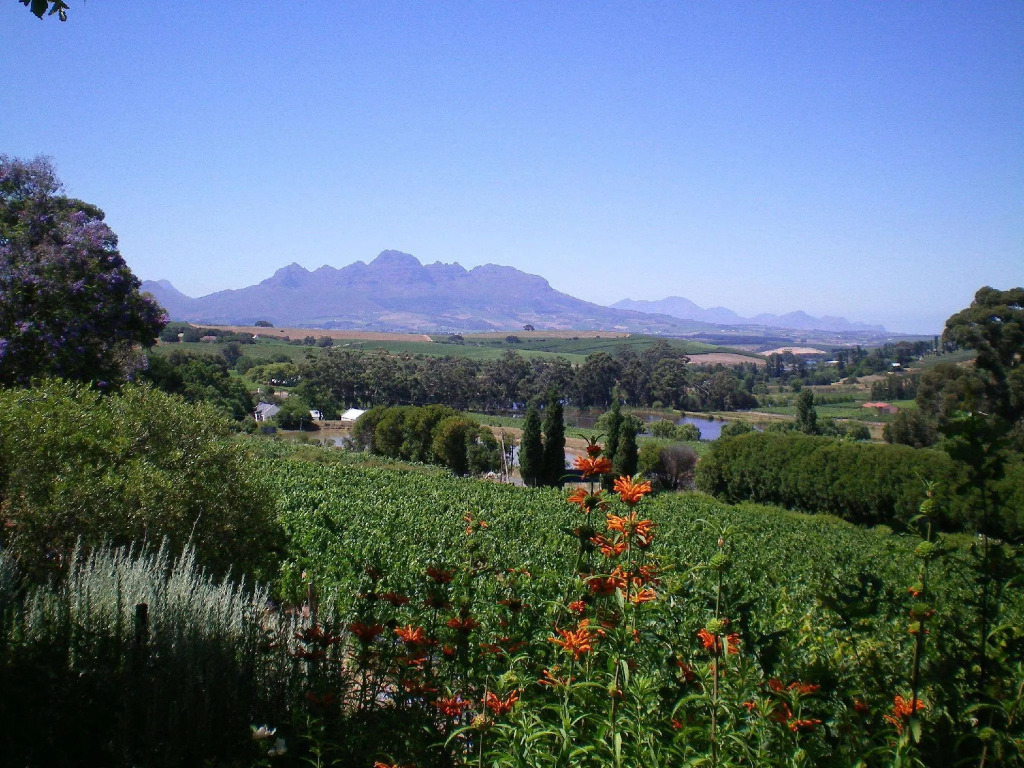 The Devon Valley Hotel