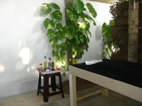 Villa Mango