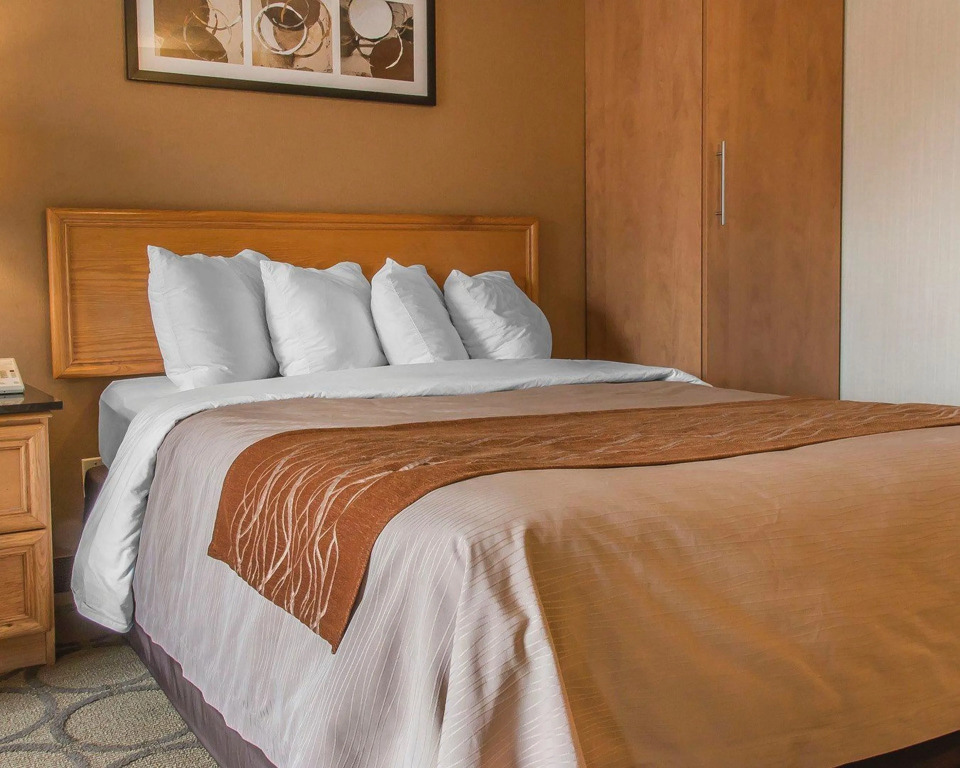 Comfort Inn Dryden