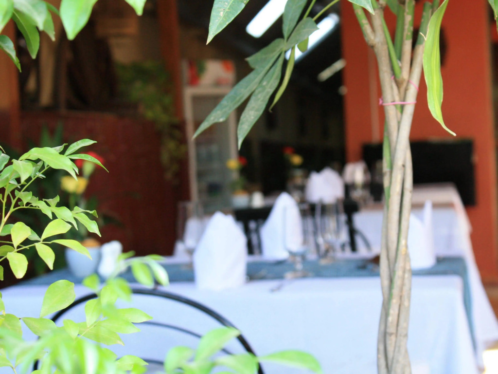Oral Dangkor Guest House