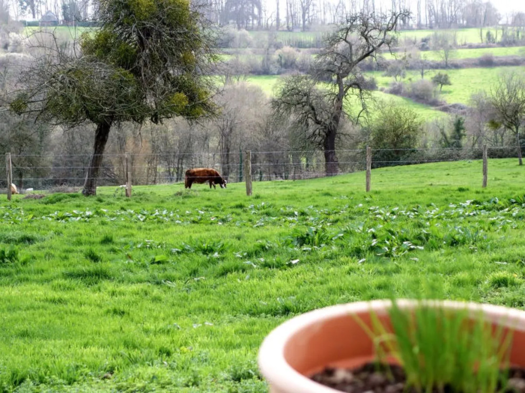 Les écuries de Callenville