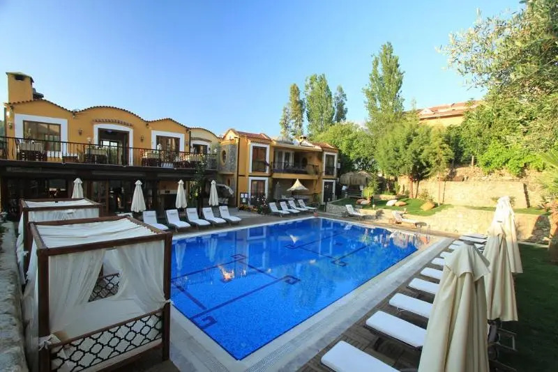 Olive Tree Studio