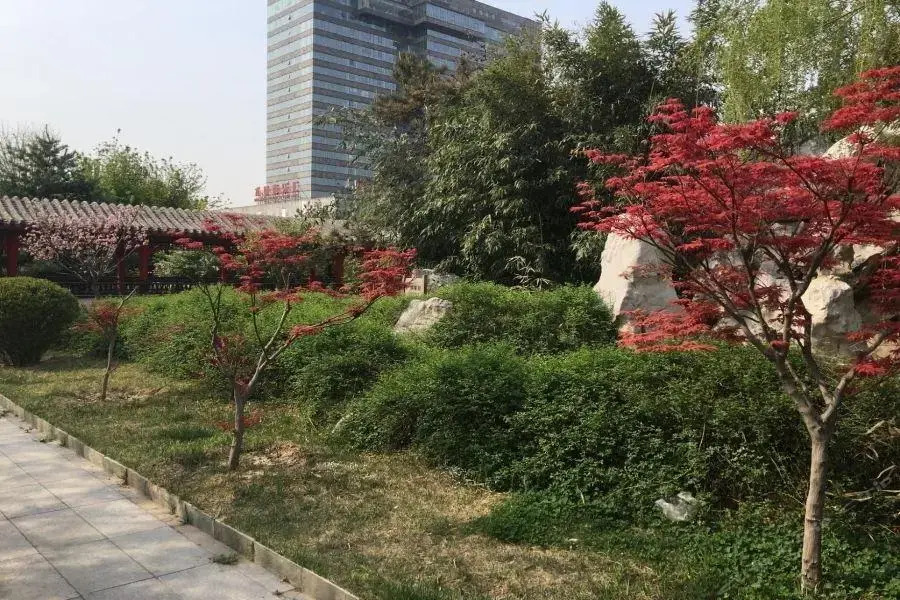 Hot Spring Leisure City International Hotel