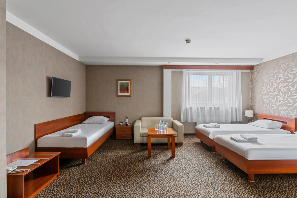Hotel Diament Vacanza Katowice - Siemianowice