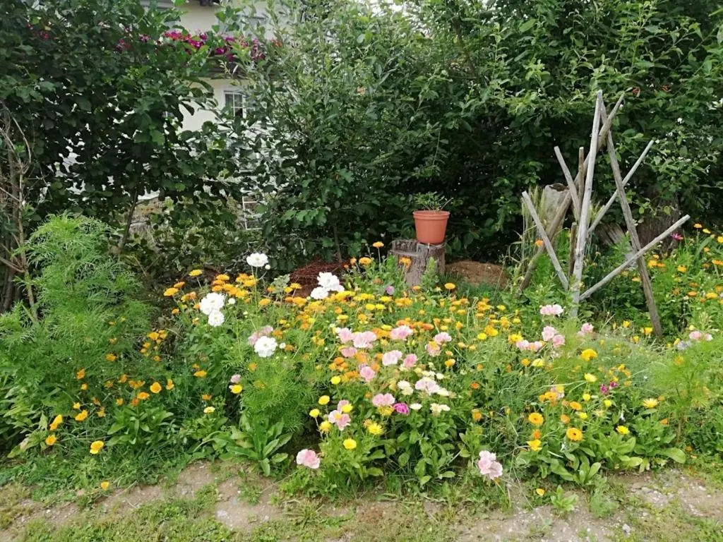 Ferienwohnung Benjamin