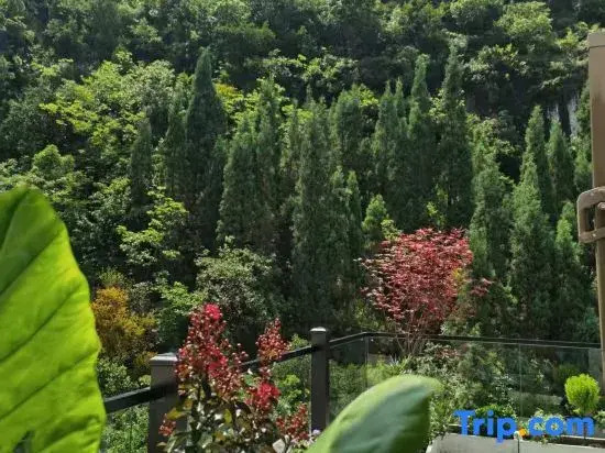 Songya Mountain Homestay