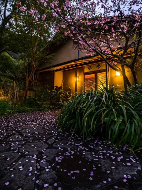 Nonohanatei komurasaki