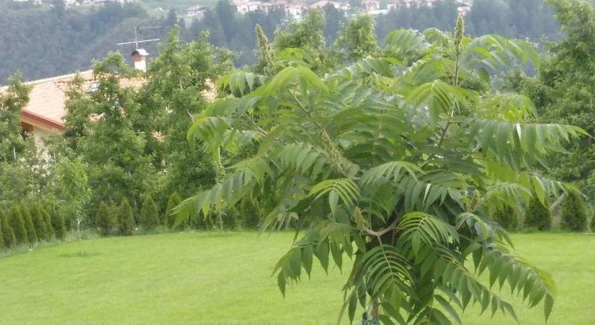 Agriturismo La Corte Nonesa