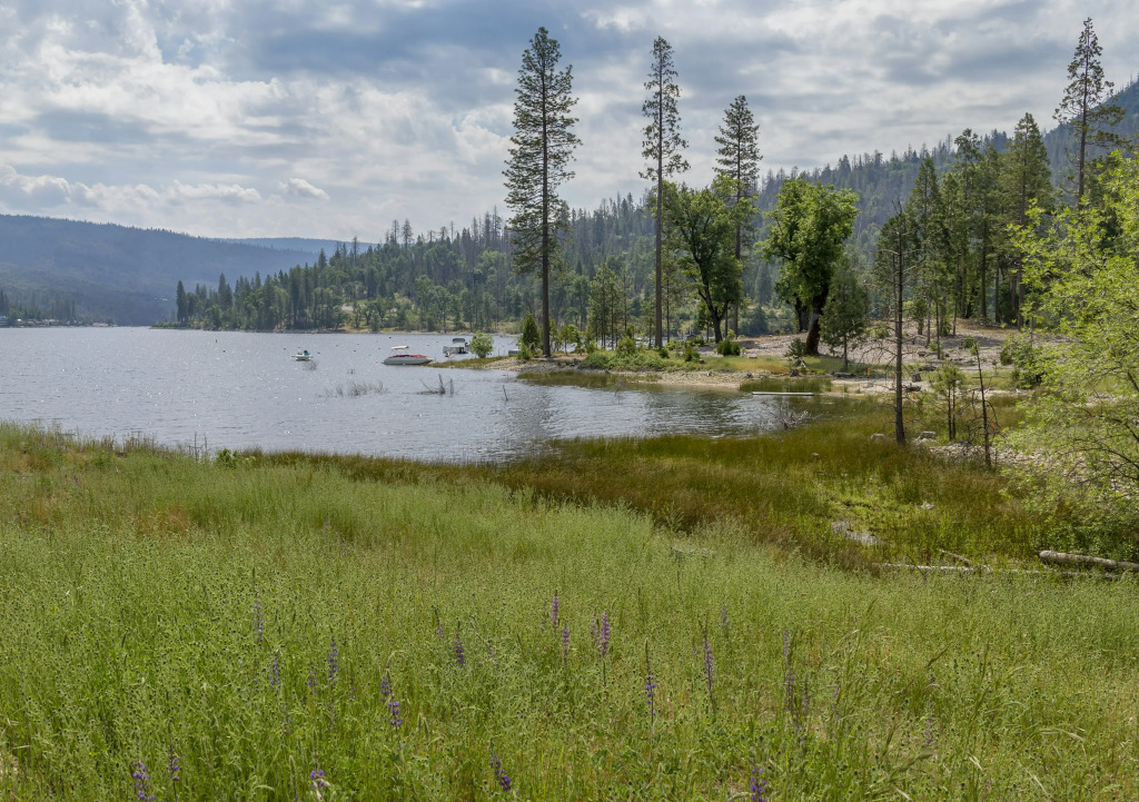 WorldMark Bass Lake