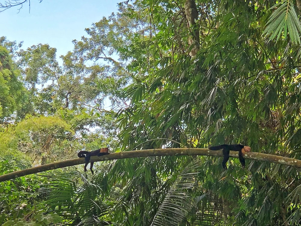 Cascada Verde Eco Lodge