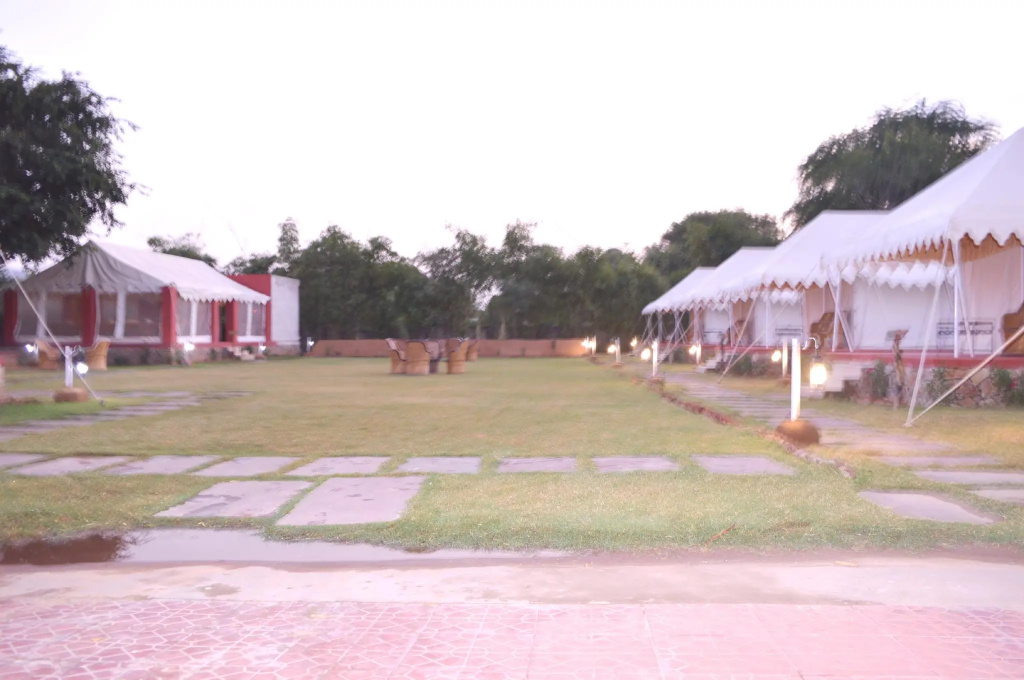 The Jungle Camp
