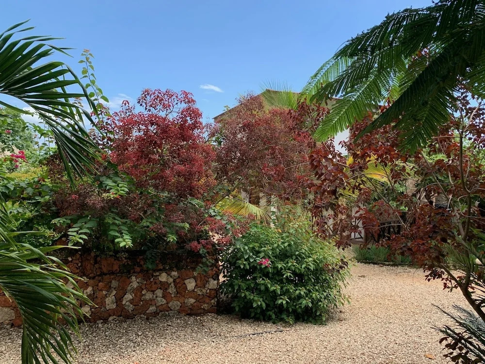 Tropicana Garden