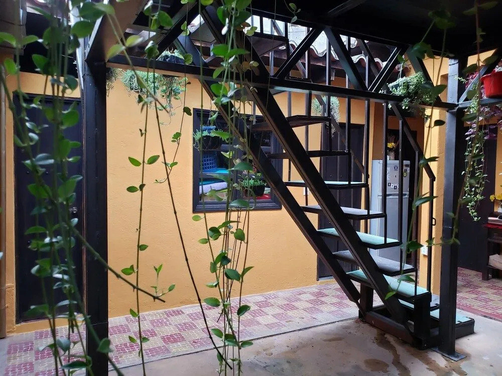 Parrot House