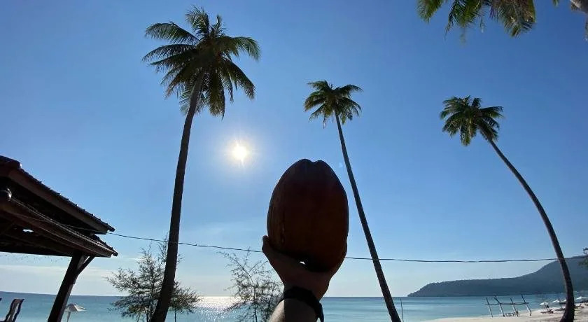 Coconut Boulevard Guesthouse