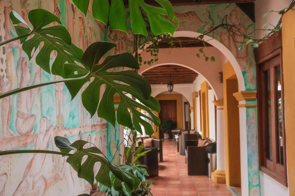 Hotel Casa Margarita